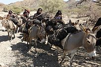 Wassertransport mit den Eseln